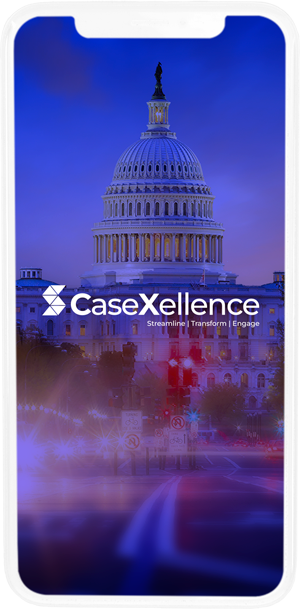 government case management solutions