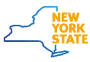 new york state government case management